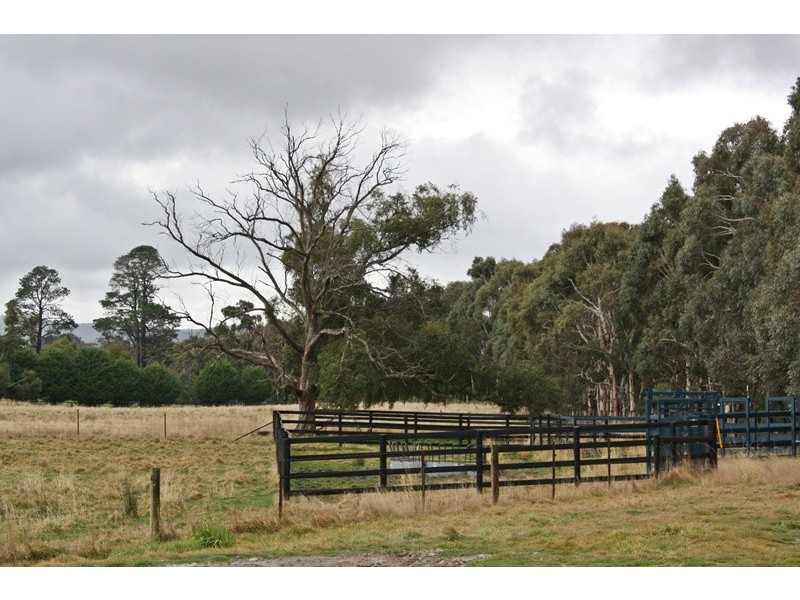 51 Bolgers Lane, Newham VIC 3442