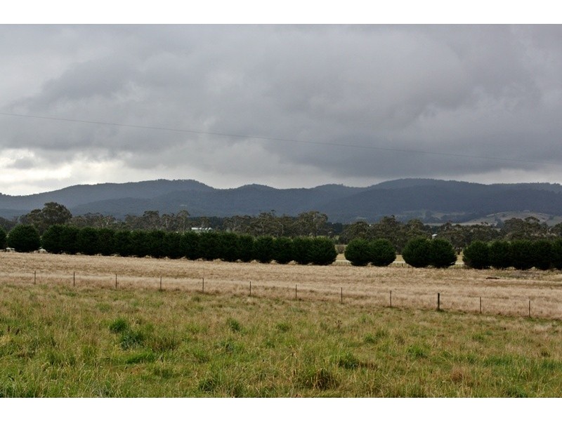 51 Bolgers Lane, Newham VIC 3442