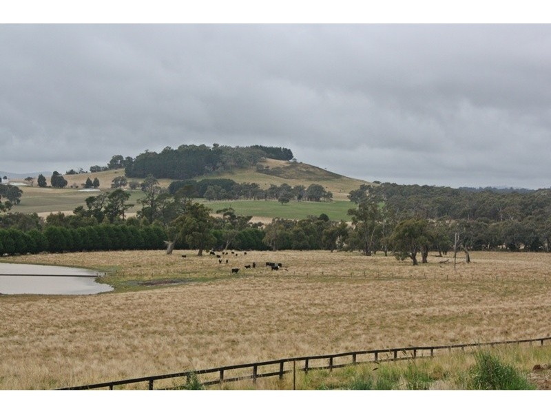 51 Bolgers Lane, Newham VIC 3442