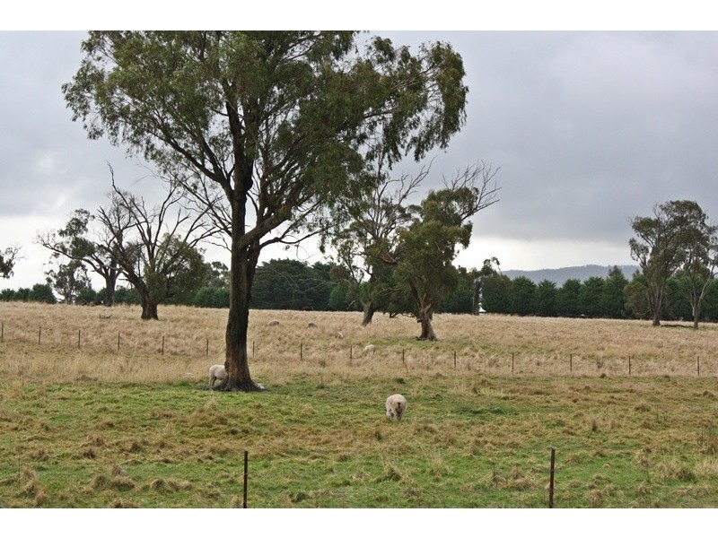 51 BOLGERS LANE, Newham VIC 3442