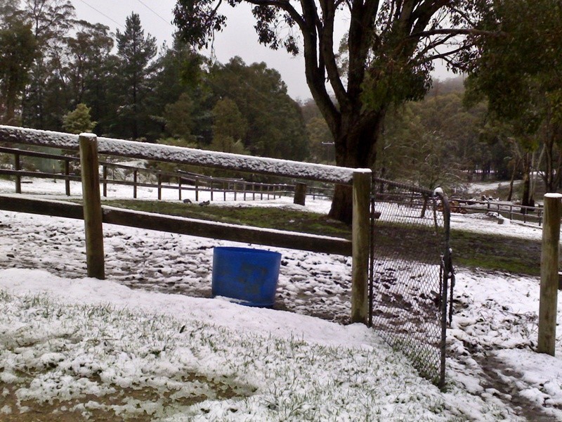 1362 ROMSEY ROAD, Woodend VIC 3442