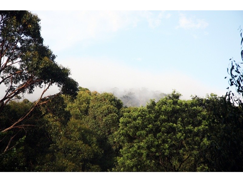 1362 Romsey Rd, Romsey VIC 3434