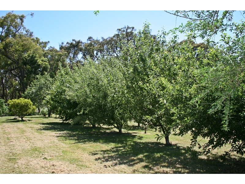 185 Mahoneys Road, Woodend VIC 3442