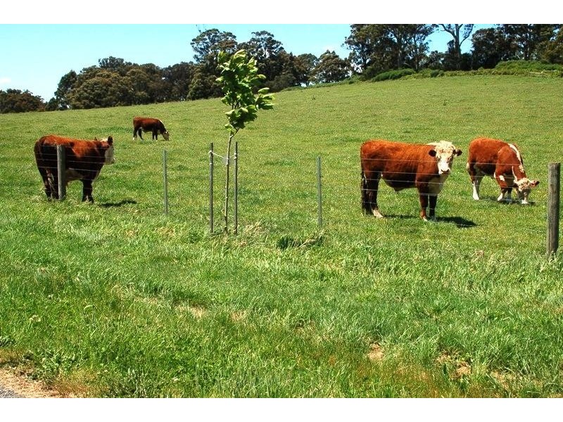 185 Rothes Road, Little Hampton VIC 3458