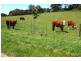 185 ROTHES RD, Little Hampton VIC 3458