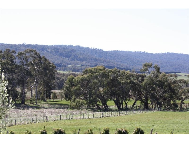 348 BOLGERS LANE, Newham VIC 3442