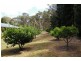 87 Halpern Road, Woodend VIC 3442