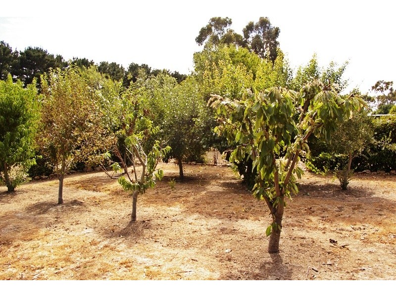 9 Ewing Street, Tylden VIC 3444