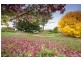 25 Mill Road, Romsey VIC 3434
