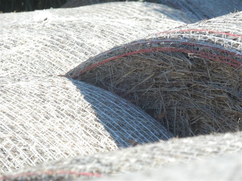 141 GARTH RD, Carlsruhe VIC 3442