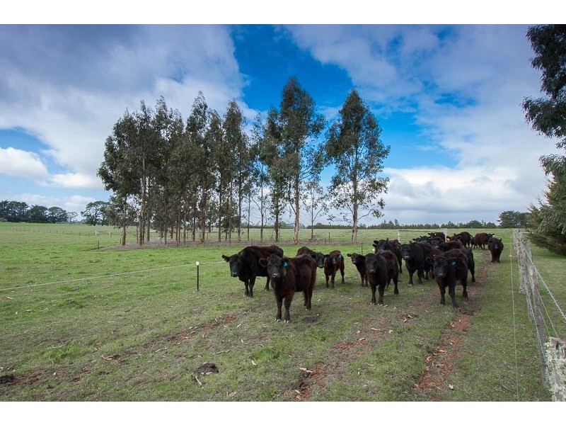 680 Chanters Lane, Tylden VIC 3444