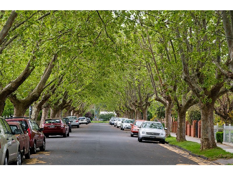 5/11 Broomfield Avenue, Alphington VIC 3078
