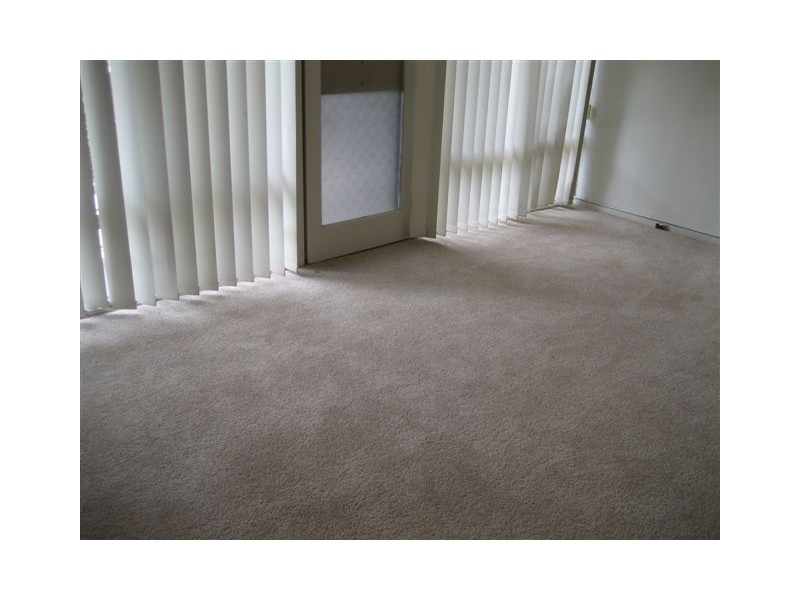 8/33 Woolton Avenue, Thornbury VIC 3071