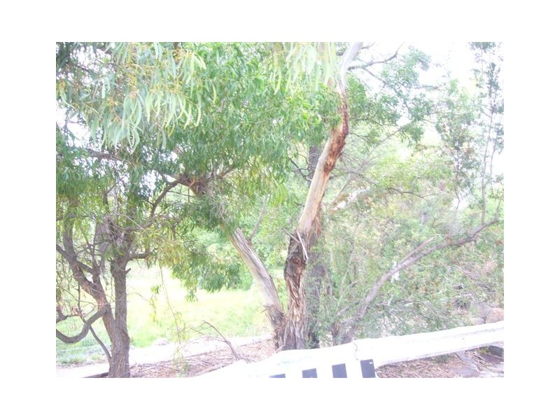 8/2 Albion Street, Brunswick VIC 3056