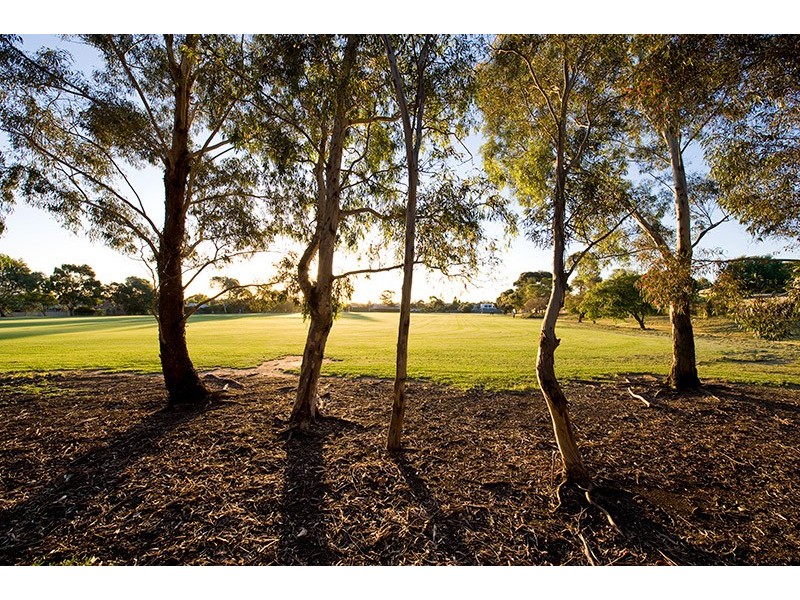 174 A Collins Street, Thornbury VIC 3071