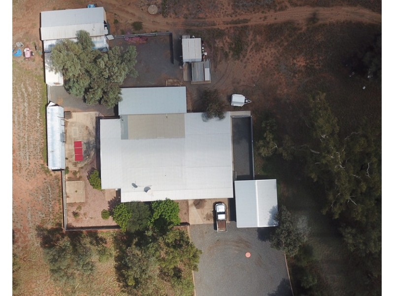 Lot 1974 Ilparpa Road, White Gums NT 0870