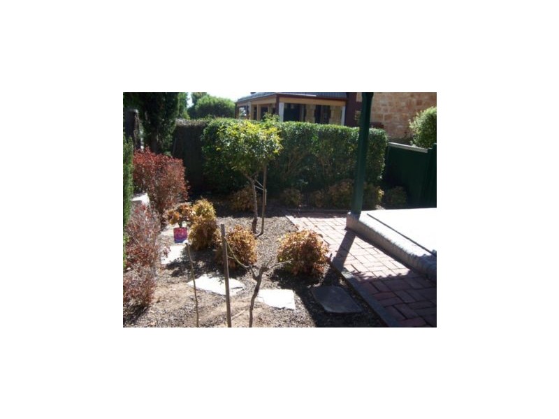 34 Rose Street, Prospect SA 5082