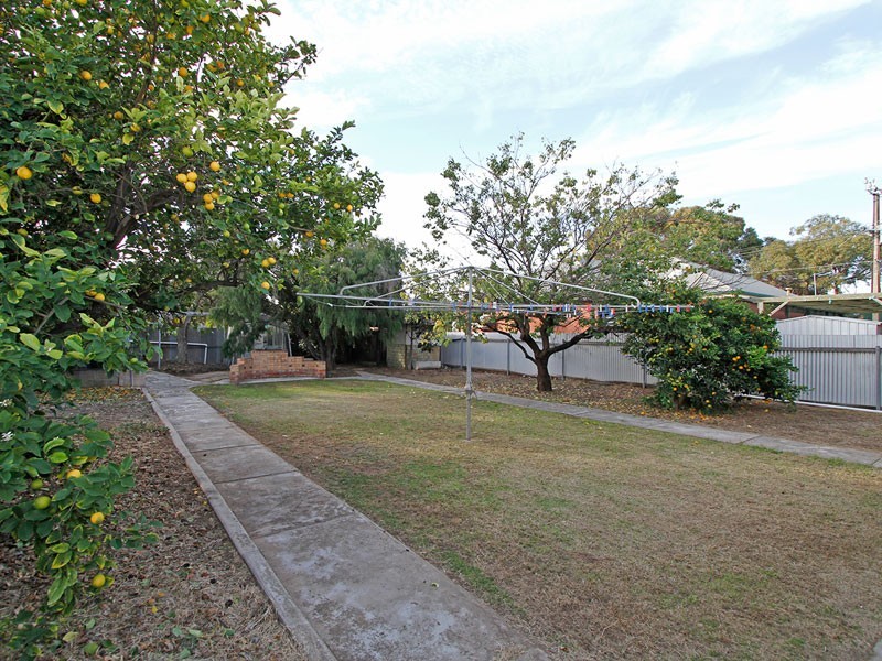 50 Guilford Avenue, Prospect SA 5082