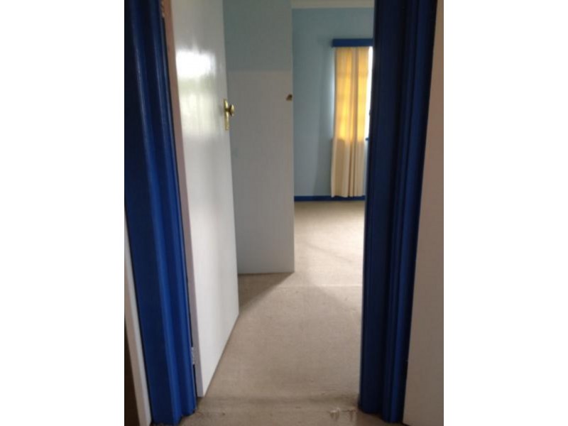 355 Marshall Road, Tarragindi QLD 4121