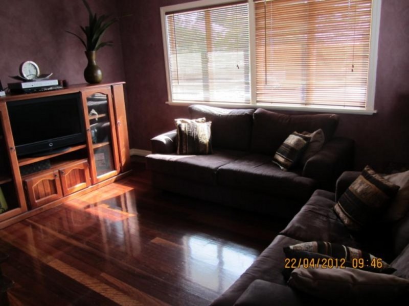 501 Cavendish Road, Coorparoo QLD 4151
