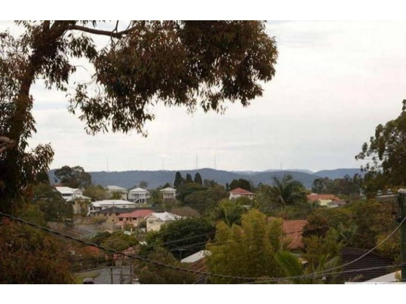 141 Arnold Street, Holland Park QLD 4121