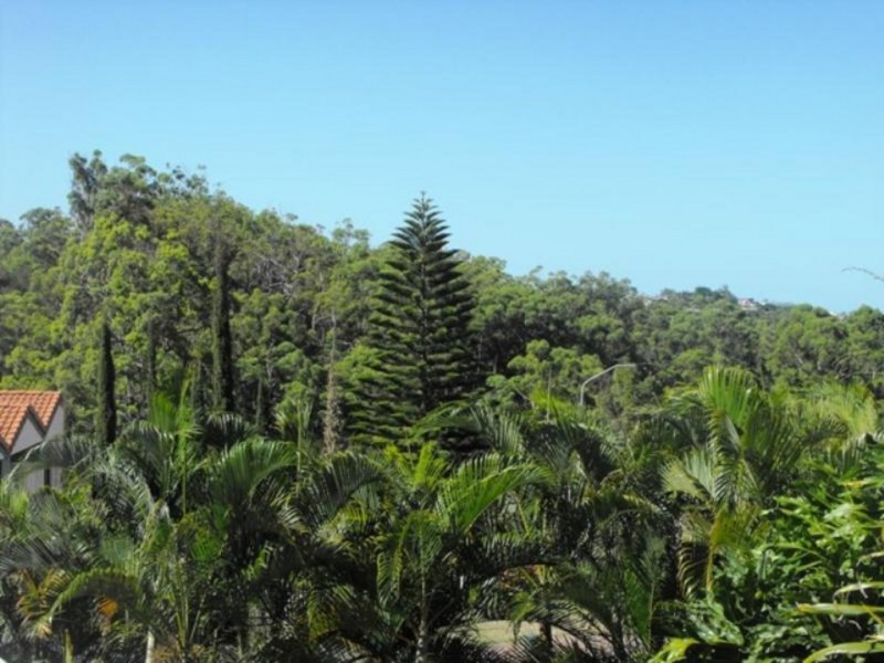 41 Wisteria Cres, Mount Gravatt East QLD 4122