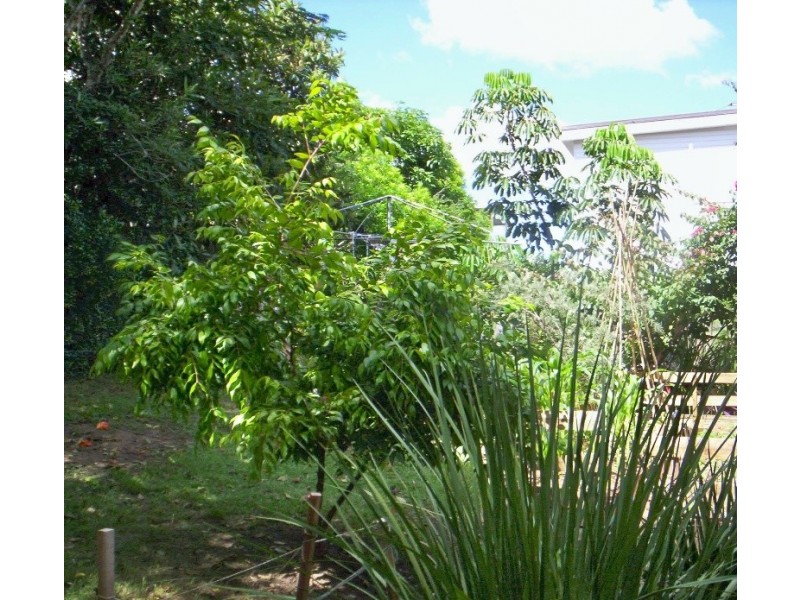 9 Spa Street, Holland Park West QLD 4121