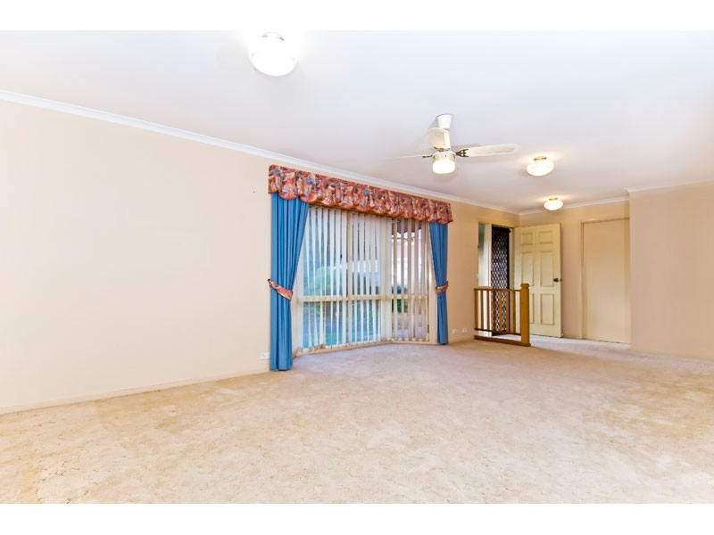 19 Circlewood Court, Algester QLD 4115