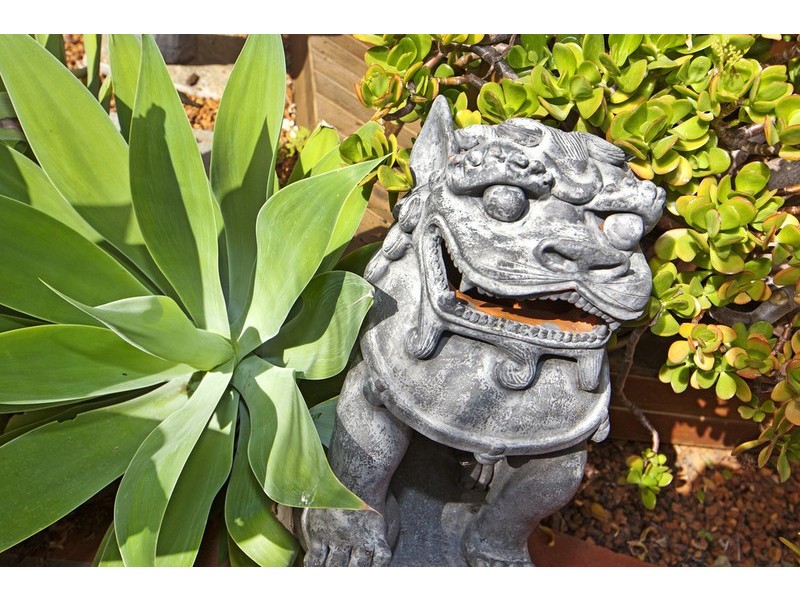 1 Galsworthy Street, Holland Park West QLD 4121