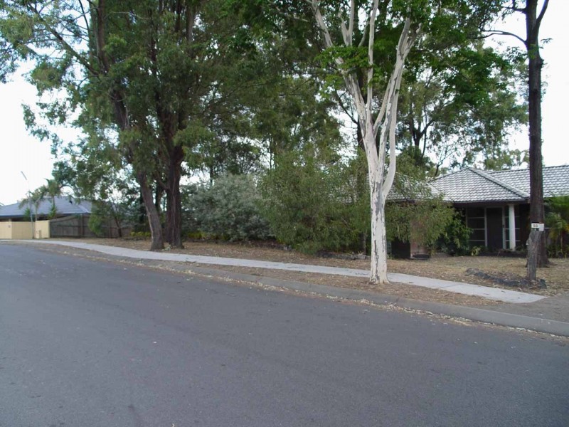 55 BASSWOOD ST, Algester QLD 4115