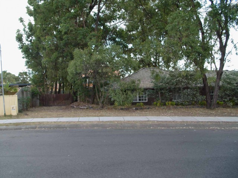 55 BASSWOOD ST, Algester QLD 4115