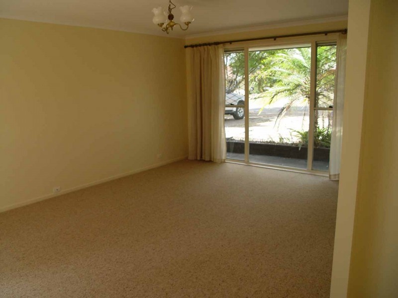 55 BASSWOOD ST, Algester QLD 4115
