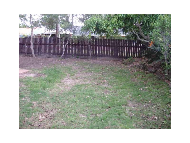 55 BASSWOOD ST, Algester QLD 4115