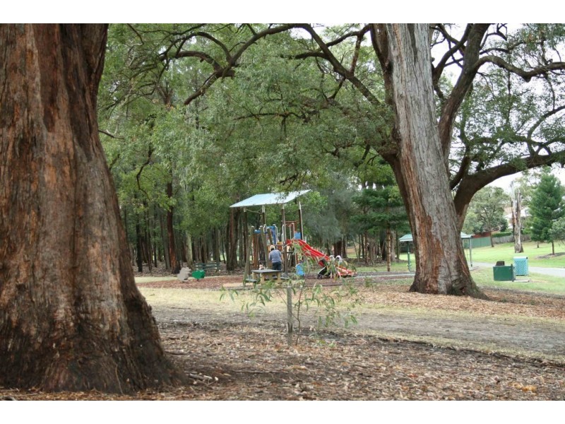 Holland Park West QLD 4121