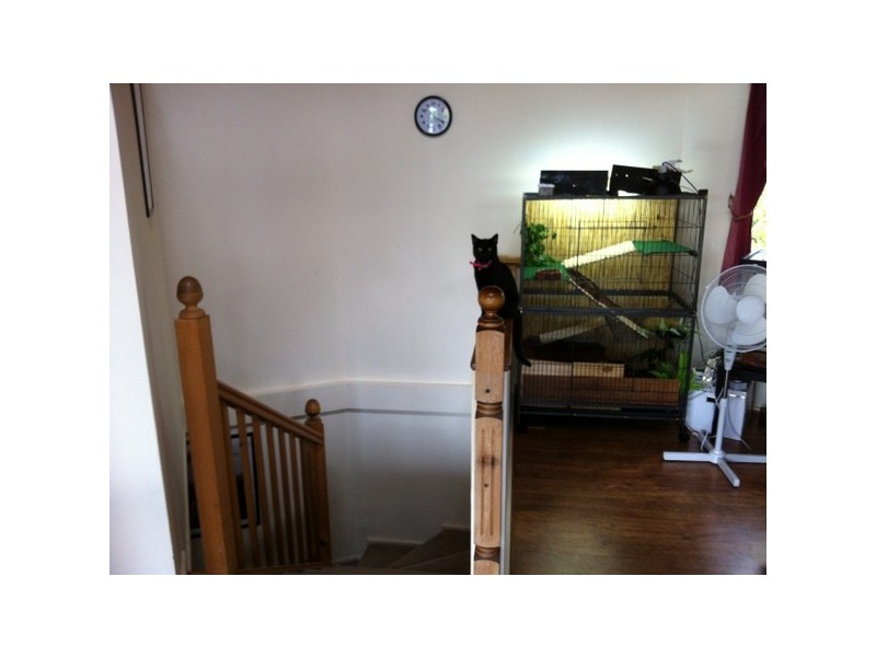 25 NORTH RD, Lower Beechmont QLD 4211