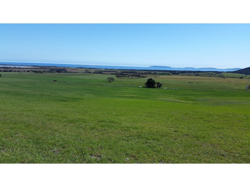 684 Palana Road, Whitemark TAS 7255