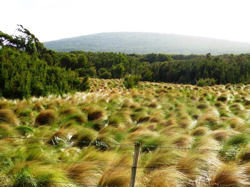 PID 2109632 North East River Road, Palana TAS 7255