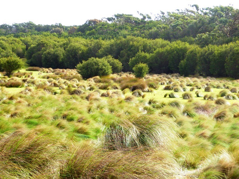 PID 2109632 North East River Road, Palana TAS 7255