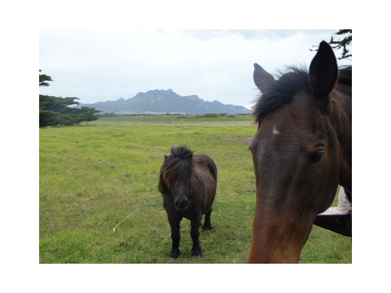 PID 6427822 Lady Barron Road, Whitemark TAS 7255