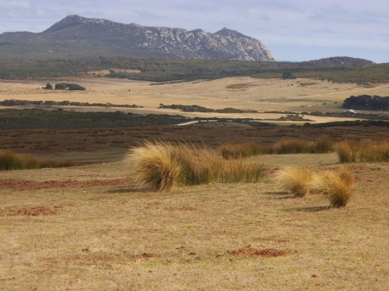 PID 1859992 North East River Road, Palana TAS 7255