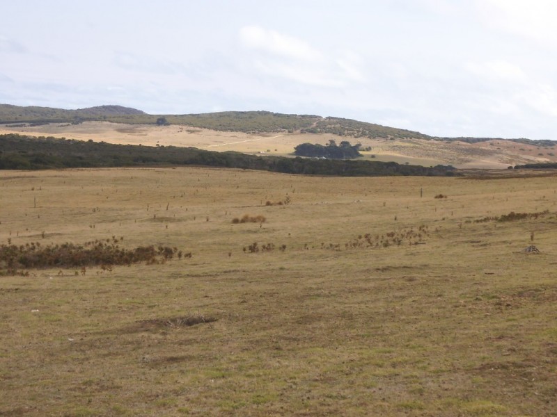 PID 1859992 North East River Road, Palana TAS 7255