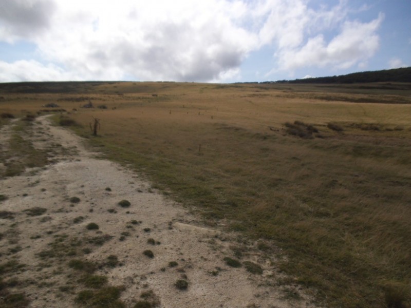 PID 1859992 North East River Road, Palana TAS 7255