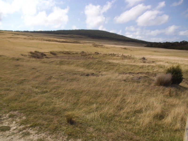 PID 1859992 North East River Road, Palana TAS 7255