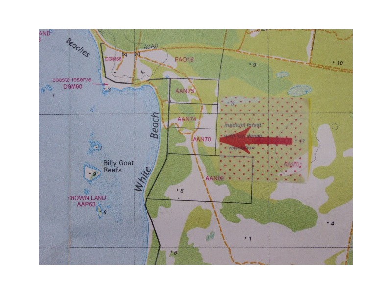 Lot 4 Pot Boil Road, Lady Barron TAS 7255