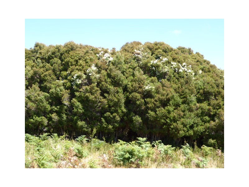 PID 2205333 Coast Road, Lady Barron TAS 7255