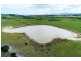 1813 Palana Road, Emita TAS 7255