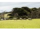 1813 Palana Road, Emita TAS 7255