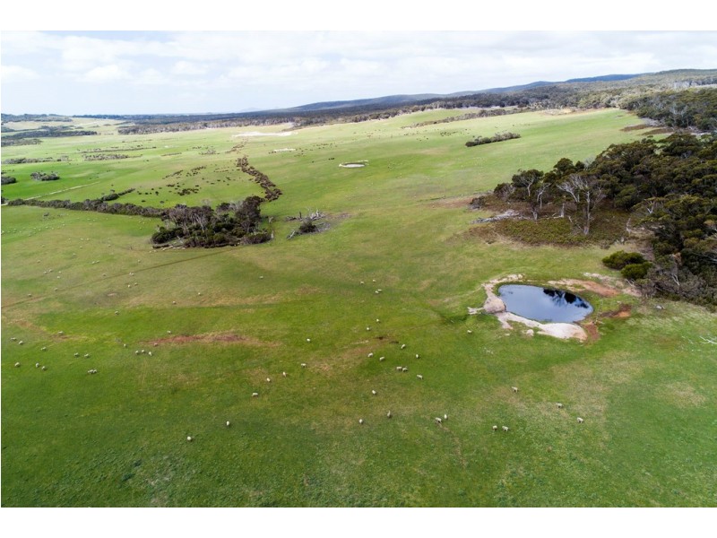 1813 Palana Road, Emita TAS 7255