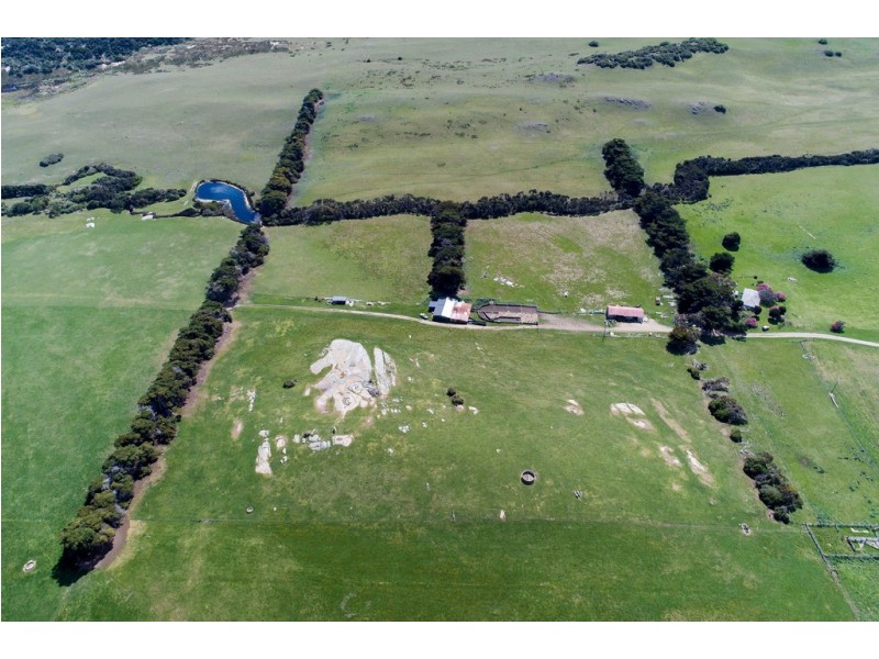 1813 Palana Road, Emita TAS 7255