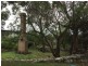 40 Wireless Station Road, Emita TAS 7255
